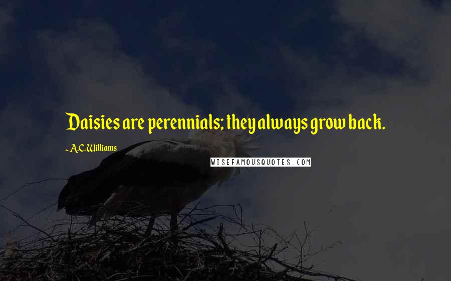 A.C. Williams Quotes: Daisies are perennials; they always grow back.