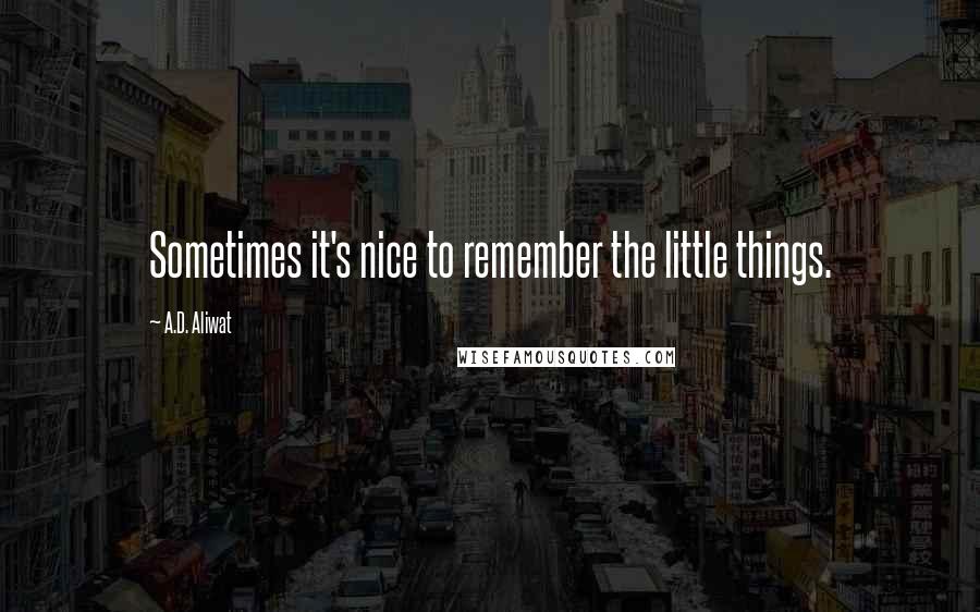 A.D. Aliwat Quotes: Sometimes it's nice to remember the little things.