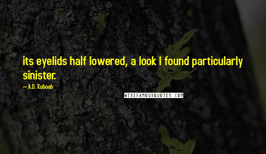 A.D. Koboah Quotes: its eyelids half lowered, a look I found particularly sinister.