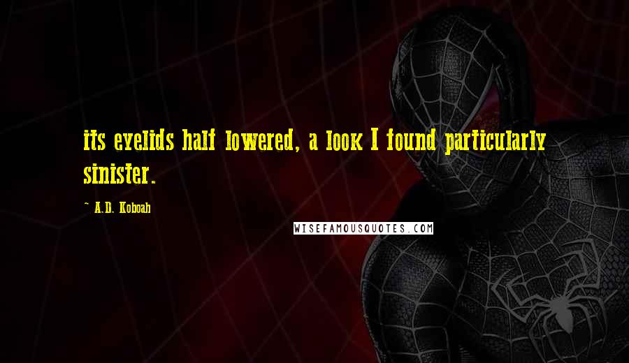 A.D. Koboah Quotes: its eyelids half lowered, a look I found particularly sinister.