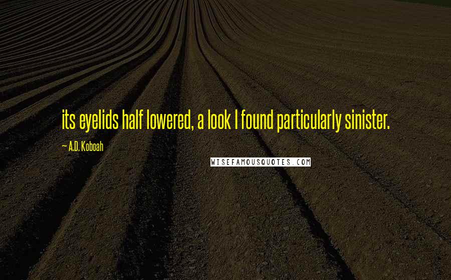 A.D. Koboah Quotes: its eyelids half lowered, a look I found particularly sinister.