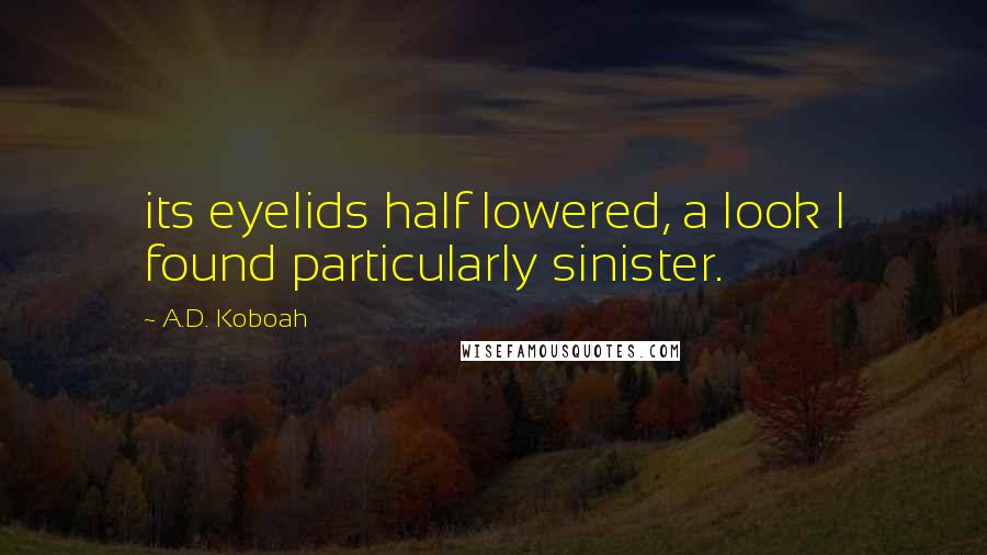 A.D. Koboah Quotes: its eyelids half lowered, a look I found particularly sinister.
