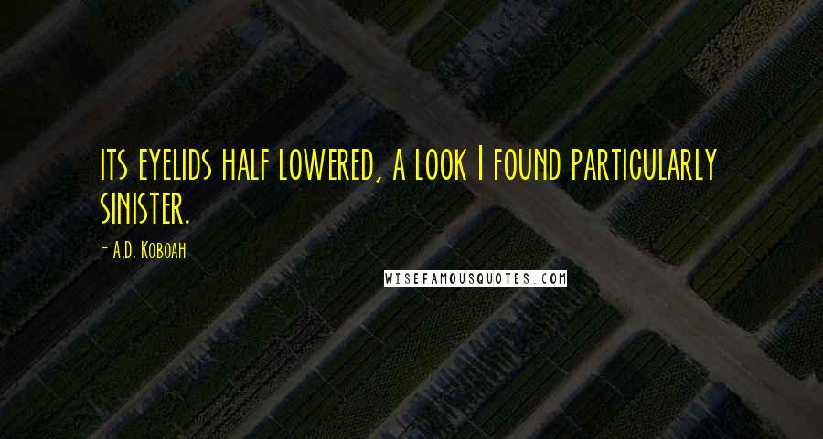 A.D. Koboah Quotes: its eyelids half lowered, a look I found particularly sinister.