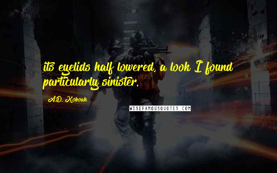 A.D. Koboah Quotes: its eyelids half lowered, a look I found particularly sinister.