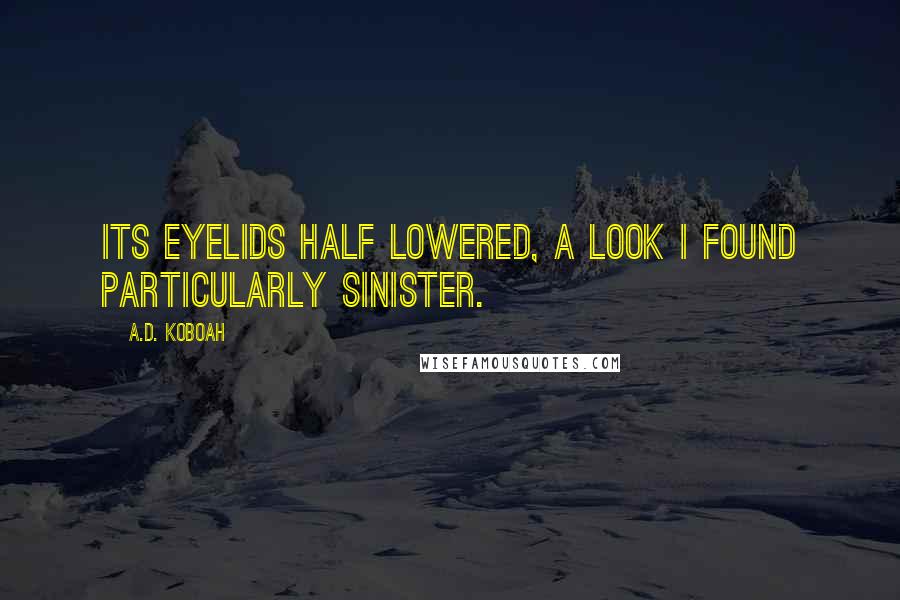 A.D. Koboah Quotes: its eyelids half lowered, a look I found particularly sinister.