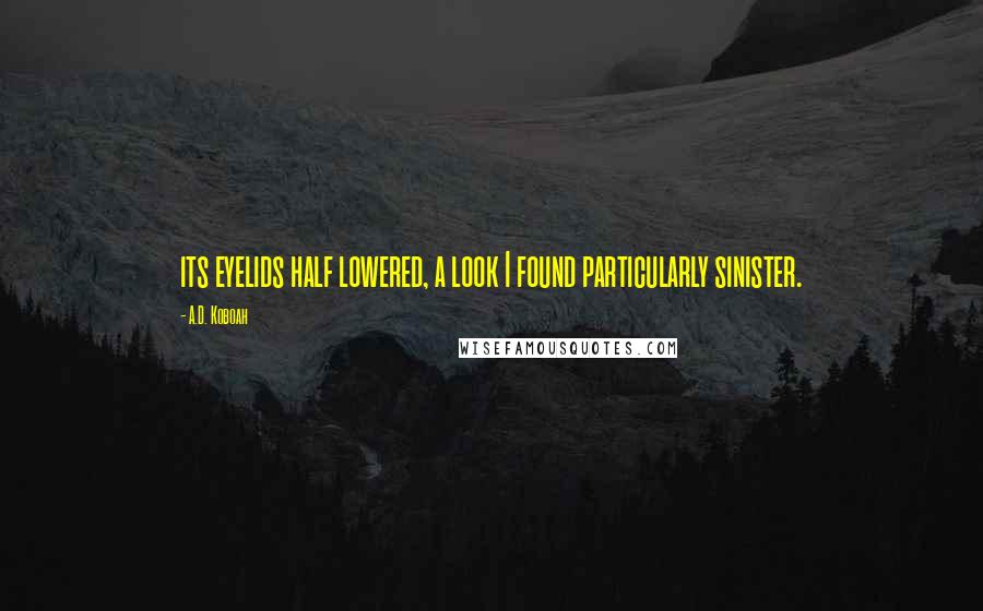 A.D. Koboah Quotes: its eyelids half lowered, a look I found particularly sinister.