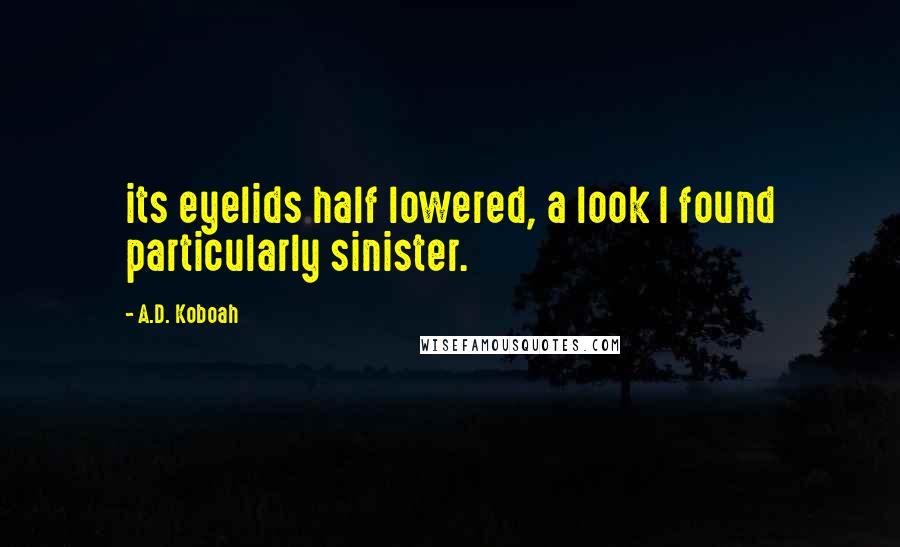 A.D. Koboah Quotes: its eyelids half lowered, a look I found particularly sinister.