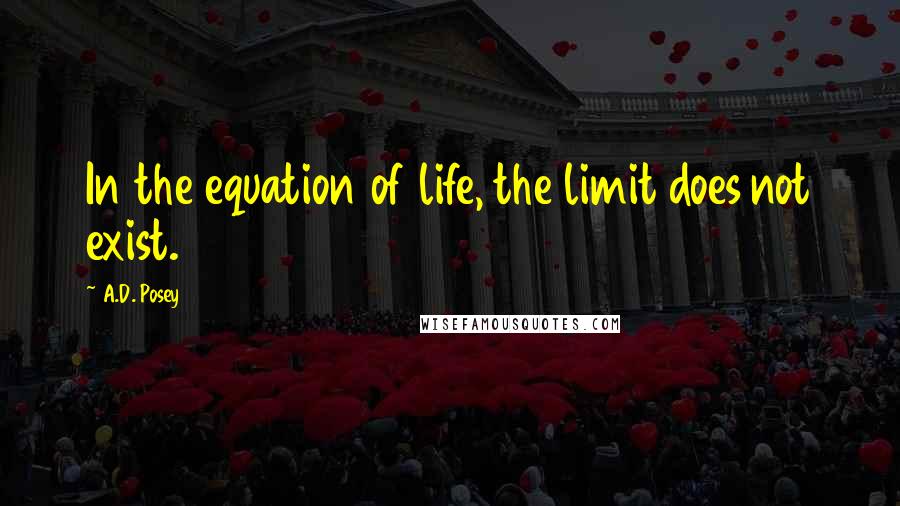 A.D. Posey Quotes: In the equation of life, the limit does not exist.