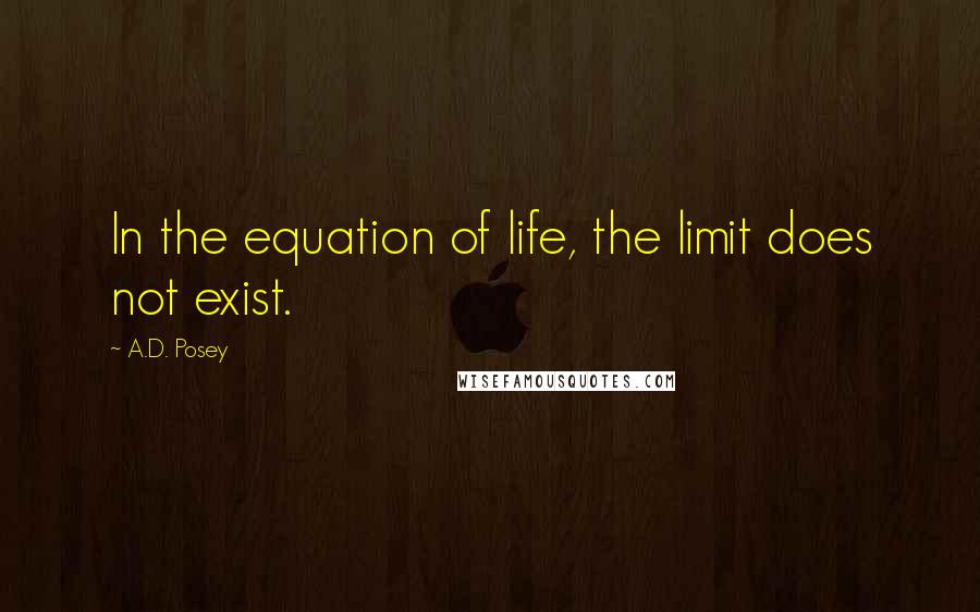 A.D. Posey Quotes: In the equation of life, the limit does not exist.