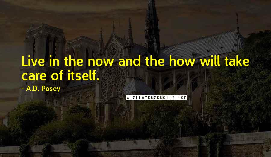 A.D. Posey Quotes: Live in the now and the how will take care of itself.