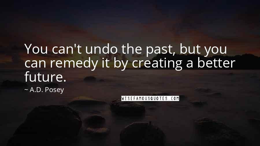 A.D. Posey Quotes: You can't undo the past, but you can remedy it by creating a better future.