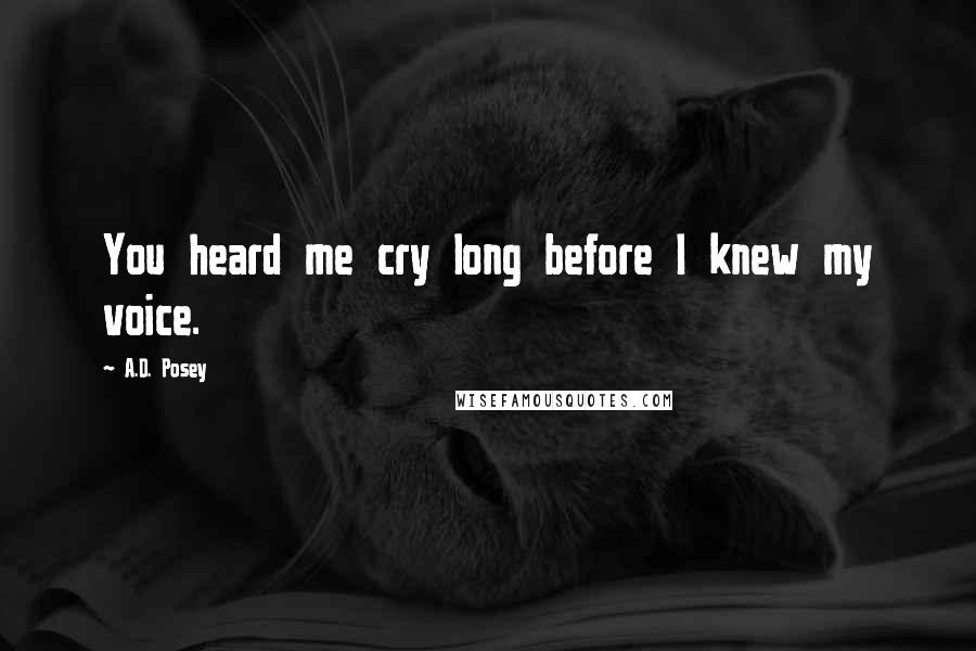 A.D. Posey Quotes: You heard me cry long before I knew my voice.