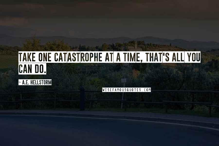 A.E. Hellstorm Quotes: Take one catastrophe at a time, that's all you can do.