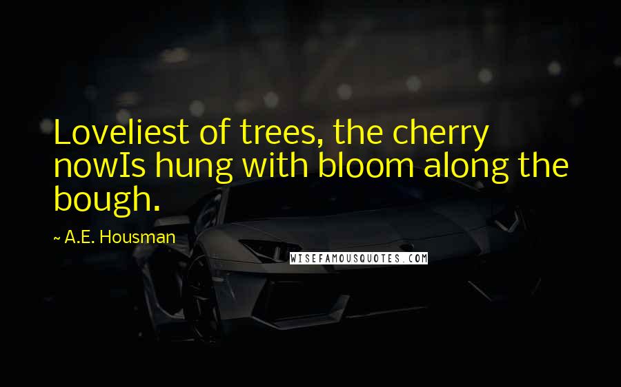 A.E. Housman Quotes: Loveliest of trees, the cherry nowIs hung with bloom along the bough.