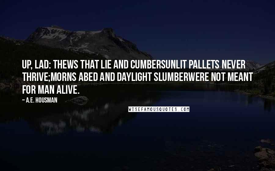 A.E. Housman Quotes: Up, lad: thews that lie and cumberSunlit pallets never thrive;Morns abed and daylight slumberWere not meant for man alive.