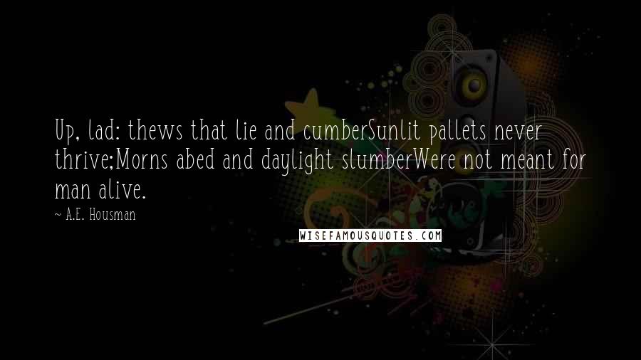 A.E. Housman Quotes: Up, lad: thews that lie and cumberSunlit pallets never thrive;Morns abed and daylight slumberWere not meant for man alive.