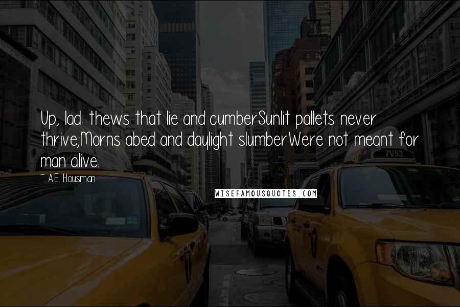 A.E. Housman Quotes: Up, lad: thews that lie and cumberSunlit pallets never thrive;Morns abed and daylight slumberWere not meant for man alive.