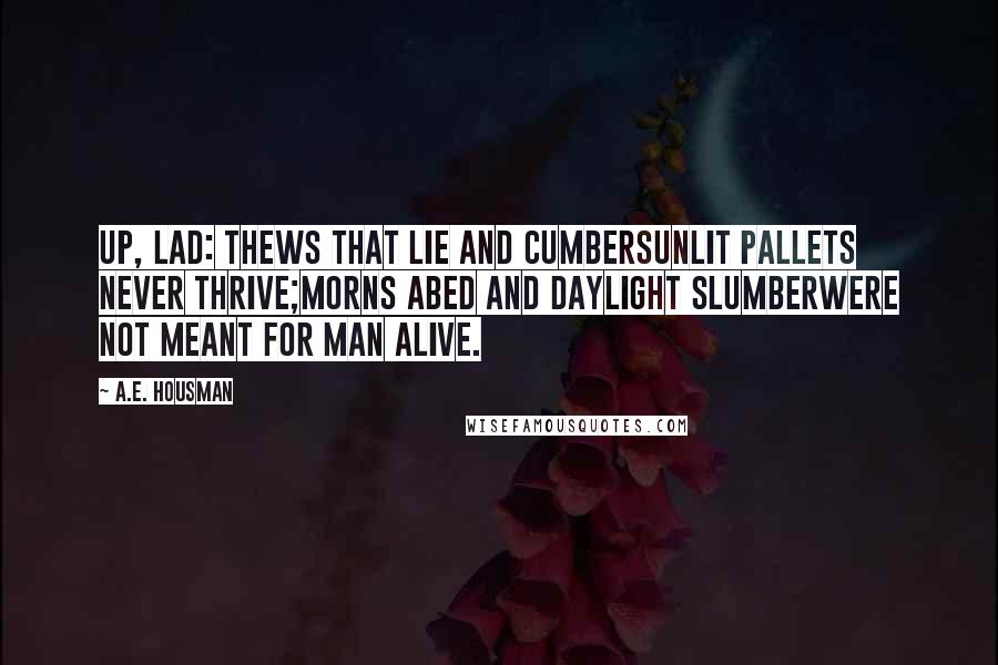 A.E. Housman Quotes: Up, lad: thews that lie and cumberSunlit pallets never thrive;Morns abed and daylight slumberWere not meant for man alive.