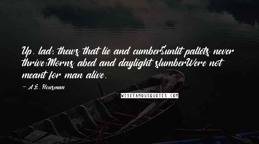 A.E. Housman Quotes: Up, lad: thews that lie and cumberSunlit pallets never thrive;Morns abed and daylight slumberWere not meant for man alive.