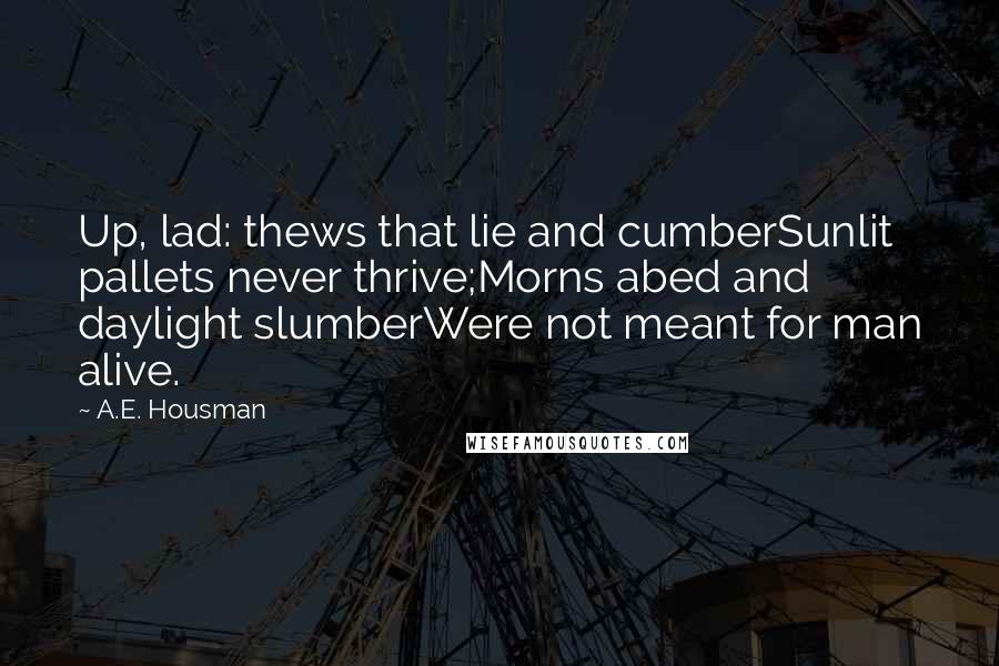 A.E. Housman Quotes: Up, lad: thews that lie and cumberSunlit pallets never thrive;Morns abed and daylight slumberWere not meant for man alive.