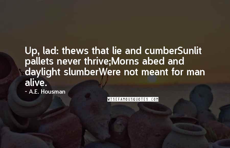 A.E. Housman Quotes: Up, lad: thews that lie and cumberSunlit pallets never thrive;Morns abed and daylight slumberWere not meant for man alive.