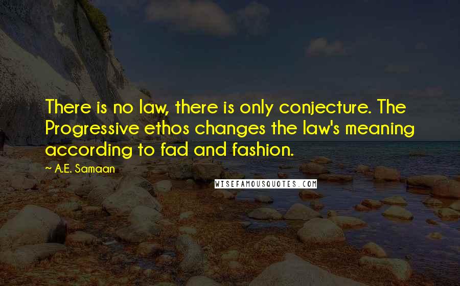 A.E. Samaan Quotes: There is no law, there is only conjecture. The Progressive ethos changes the law's meaning according to fad and fashion.