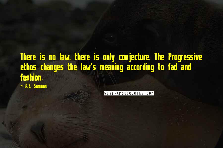 A.E. Samaan Quotes: There is no law, there is only conjecture. The Progressive ethos changes the law's meaning according to fad and fashion.