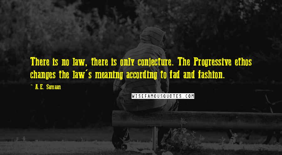 A.E. Samaan Quotes: There is no law, there is only conjecture. The Progressive ethos changes the law's meaning according to fad and fashion.