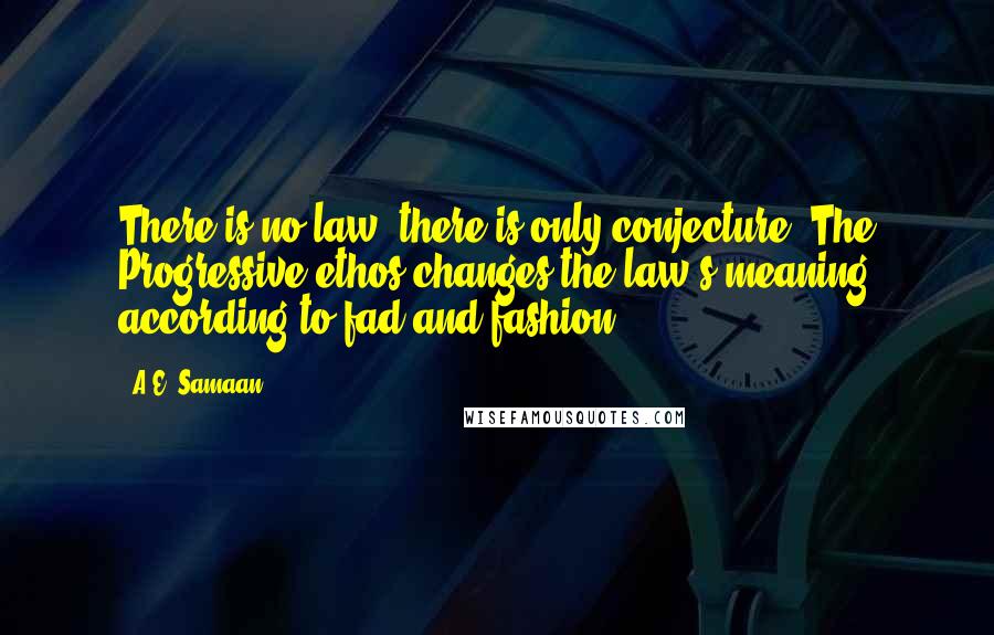 A.E. Samaan Quotes: There is no law, there is only conjecture. The Progressive ethos changes the law's meaning according to fad and fashion.