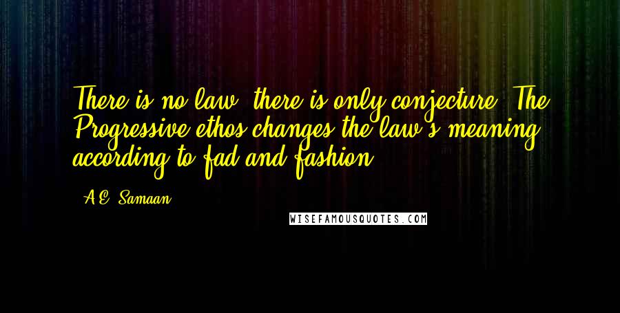 A.E. Samaan Quotes: There is no law, there is only conjecture. The Progressive ethos changes the law's meaning according to fad and fashion.