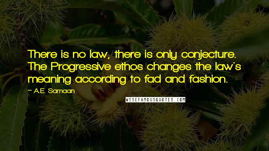 A.E. Samaan Quotes: There is no law, there is only conjecture. The Progressive ethos changes the law's meaning according to fad and fashion.