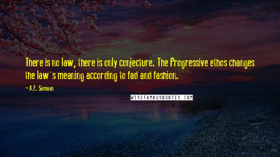 A.E. Samaan Quotes: There is no law, there is only conjecture. The Progressive ethos changes the law's meaning according to fad and fashion.