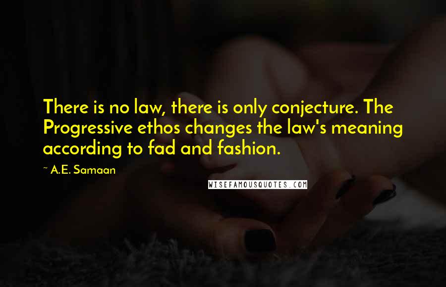 A.E. Samaan Quotes: There is no law, there is only conjecture. The Progressive ethos changes the law's meaning according to fad and fashion.