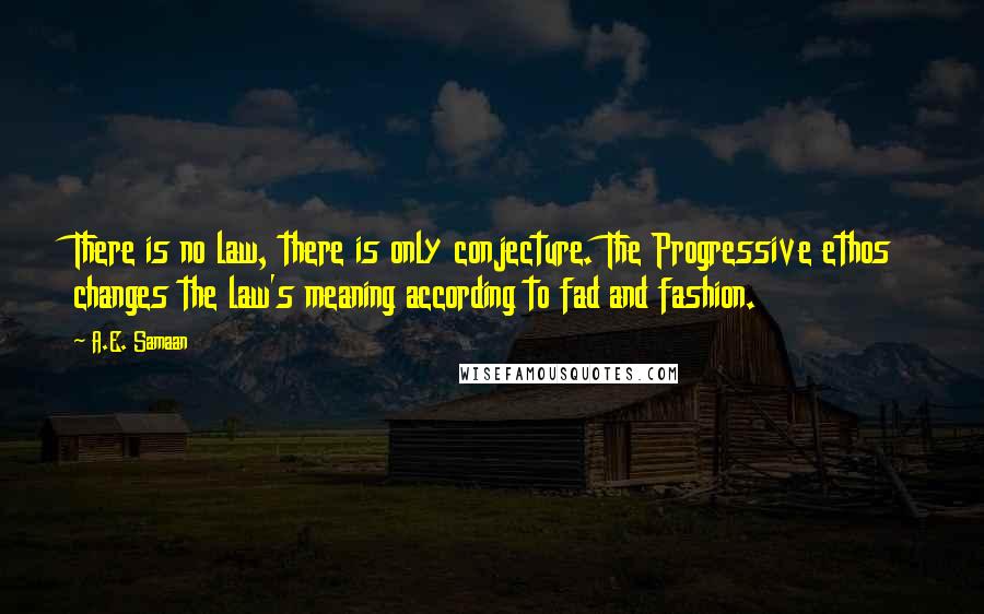 A.E. Samaan Quotes: There is no law, there is only conjecture. The Progressive ethos changes the law's meaning according to fad and fashion.