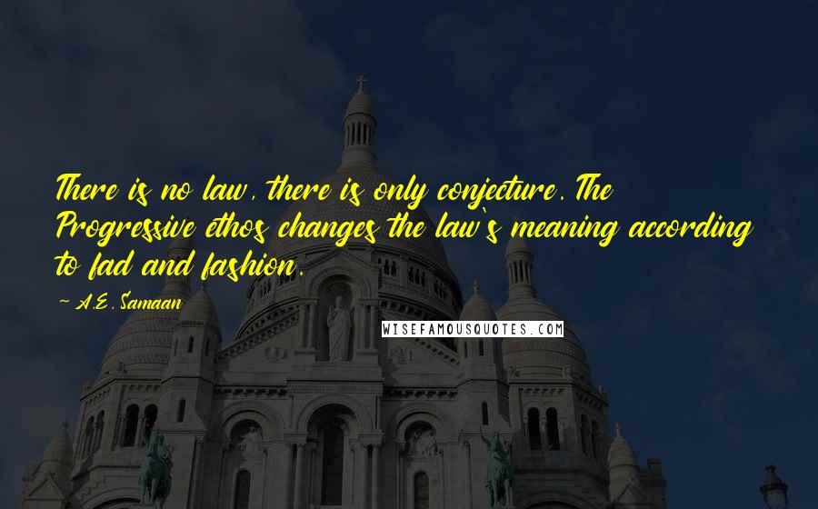 A.E. Samaan Quotes: There is no law, there is only conjecture. The Progressive ethos changes the law's meaning according to fad and fashion.