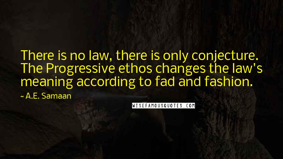 A.E. Samaan Quotes: There is no law, there is only conjecture. The Progressive ethos changes the law's meaning according to fad and fashion.