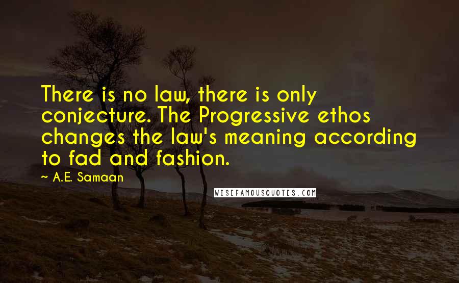 A.E. Samaan Quotes: There is no law, there is only conjecture. The Progressive ethos changes the law's meaning according to fad and fashion.