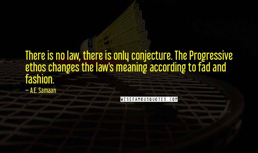 A.E. Samaan Quotes: There is no law, there is only conjecture. The Progressive ethos changes the law's meaning according to fad and fashion.