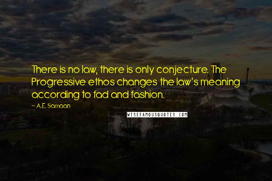 A.E. Samaan Quotes: There is no law, there is only conjecture. The Progressive ethos changes the law's meaning according to fad and fashion.