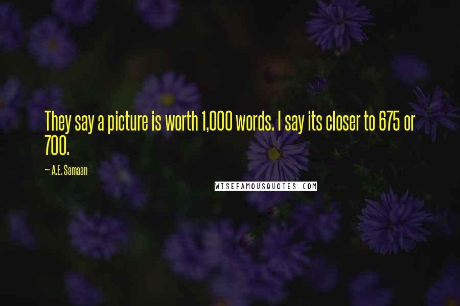 A.E. Samaan Quotes: They say a picture is worth 1,000 words. I say its closer to 675 or 700.