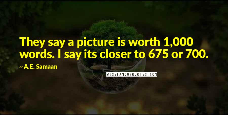 A.E. Samaan Quotes: They say a picture is worth 1,000 words. I say its closer to 675 or 700.