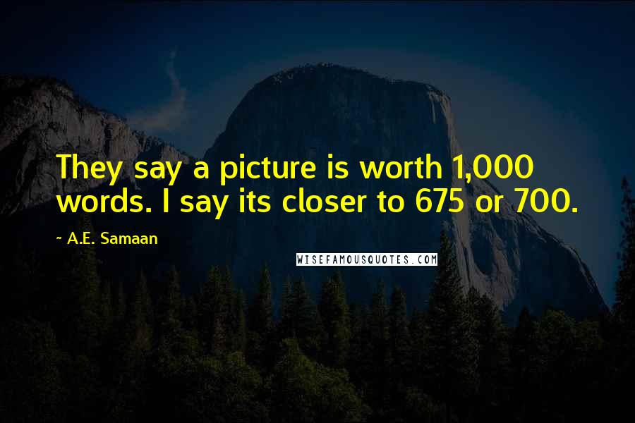 A.E. Samaan Quotes: They say a picture is worth 1,000 words. I say its closer to 675 or 700.