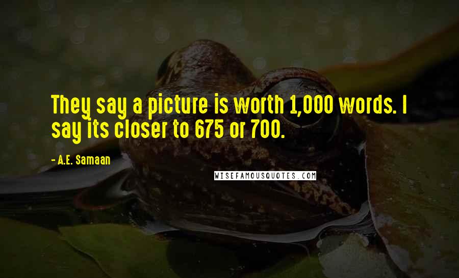 A.E. Samaan Quotes: They say a picture is worth 1,000 words. I say its closer to 675 or 700.