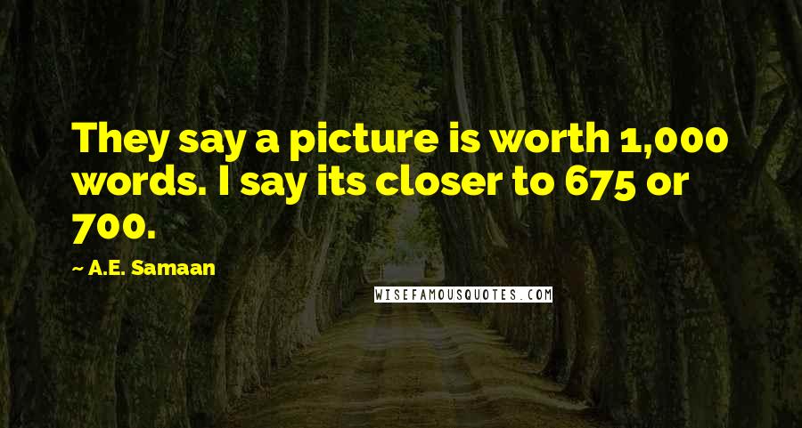 A.E. Samaan Quotes: They say a picture is worth 1,000 words. I say its closer to 675 or 700.