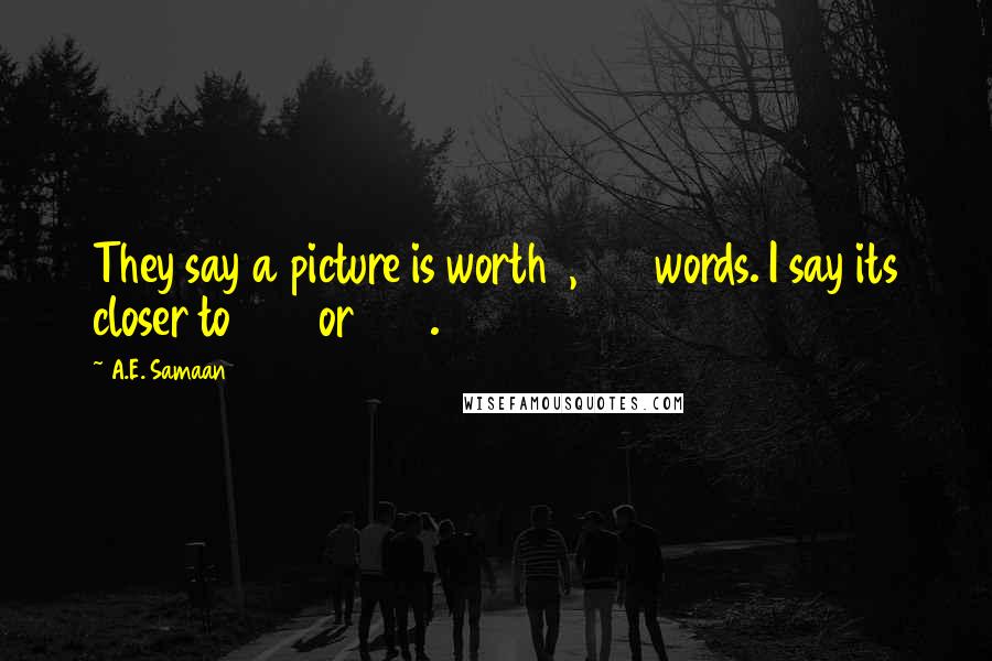 A.E. Samaan Quotes: They say a picture is worth 1,000 words. I say its closer to 675 or 700.