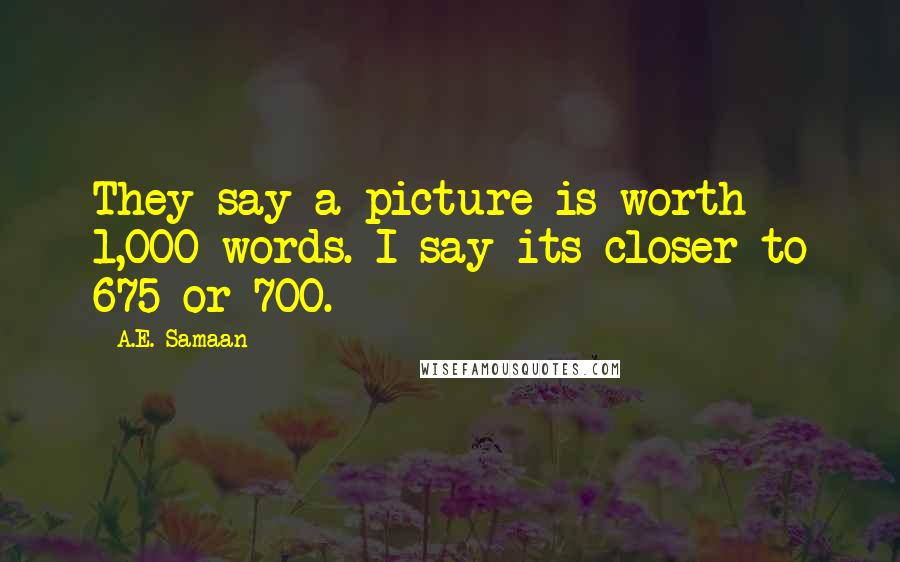 A.E. Samaan Quotes: They say a picture is worth 1,000 words. I say its closer to 675 or 700.