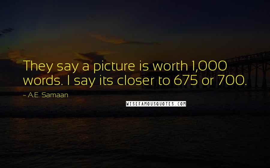 A.E. Samaan Quotes: They say a picture is worth 1,000 words. I say its closer to 675 or 700.