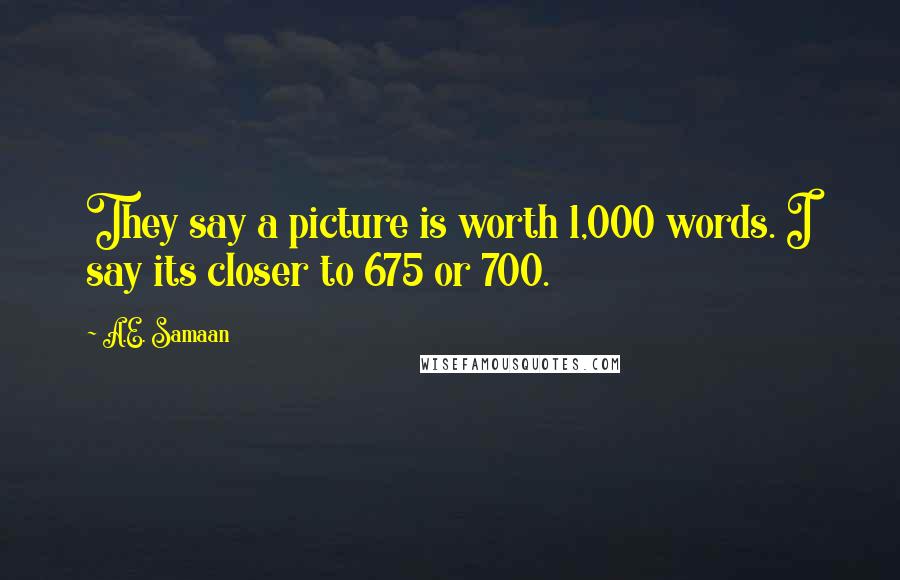 A.E. Samaan Quotes: They say a picture is worth 1,000 words. I say its closer to 675 or 700.