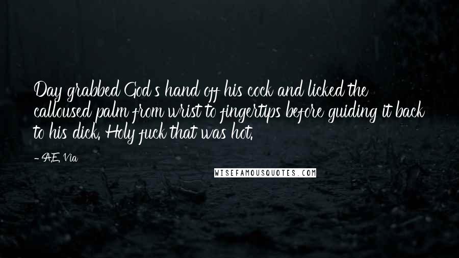 A.E. Via Quotes: Day grabbed God's hand off his cock and licked the calloused palm from wrist to fingertips before guiding it back to his dick. Holy fuck that was hot.