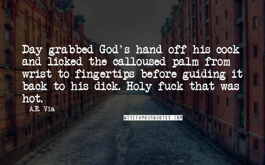 A.E. Via Quotes: Day grabbed God's hand off his cock and licked the calloused palm from wrist to fingertips before guiding it back to his dick. Holy fuck that was hot.